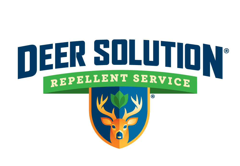 Deer Solution Logo