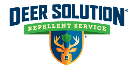 Deer Solution Logo