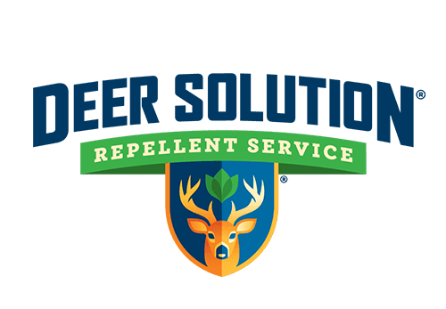 Deer Solution Logo