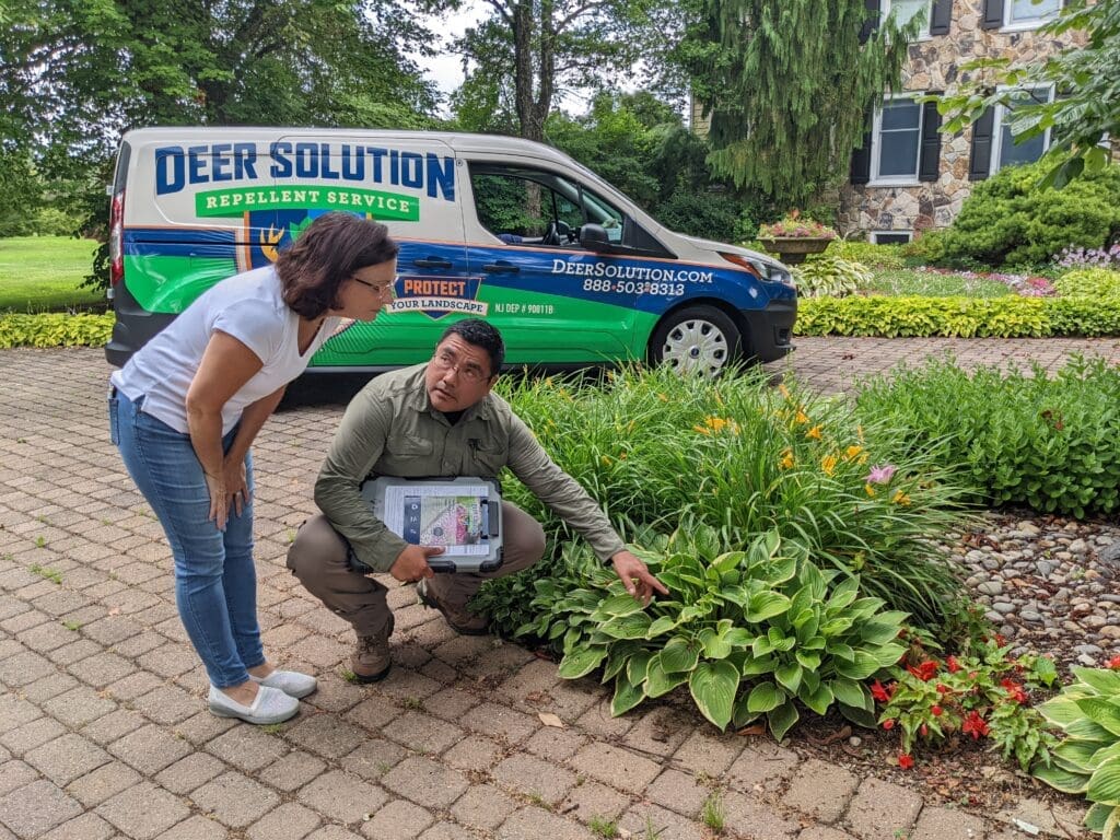 Deer Control Repellent Service Estimate